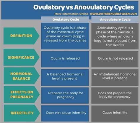 Can travel cause anovulatory cycle?
