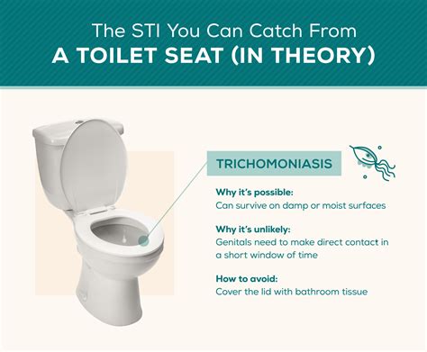 Can trich live on toilet seats?