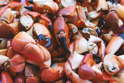 Can vegans eat stone crab?