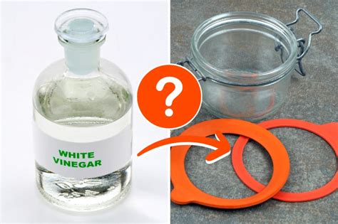 Can vinegar dissolve rubber?