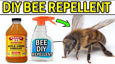 Can vinegar get rid of bees?