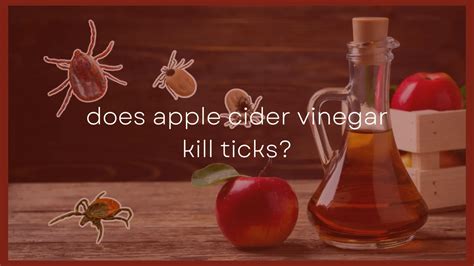 Can vinegar kill ticks?