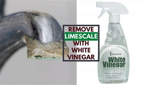 Can vinegar remove silicone?