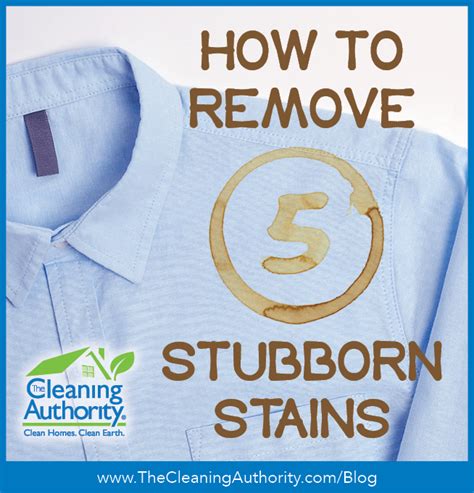 Can vinegar remove stubborn stains?