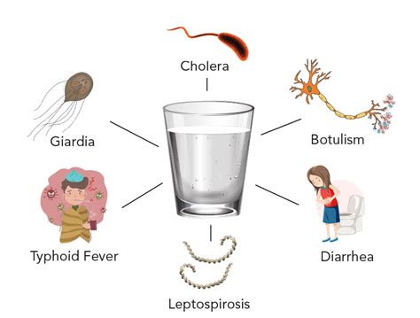 Can viruses be transmitted through air water food?