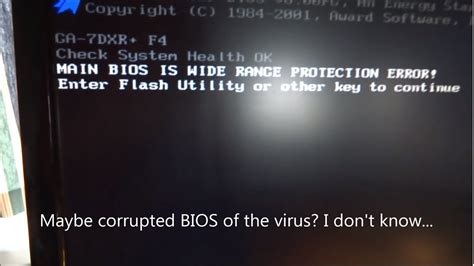 Can viruses destroy BIOS?