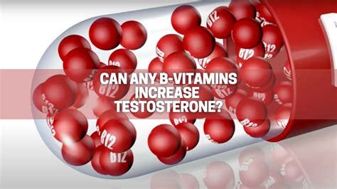 Can vitamin B increase testosterone?