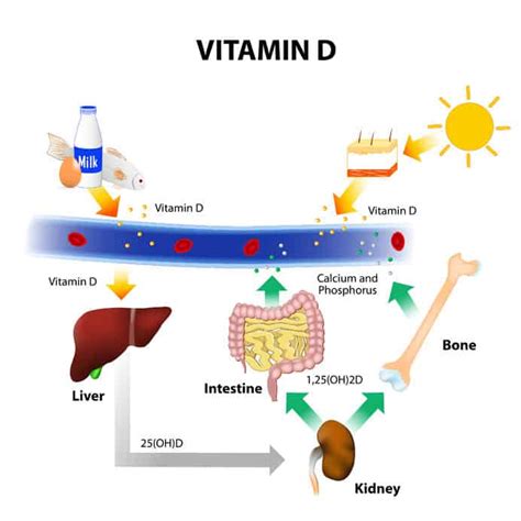 Can vitamin D affect nervous system?