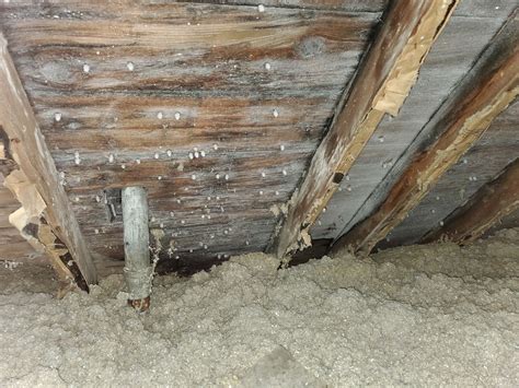 Can wall insulation cause condensation?