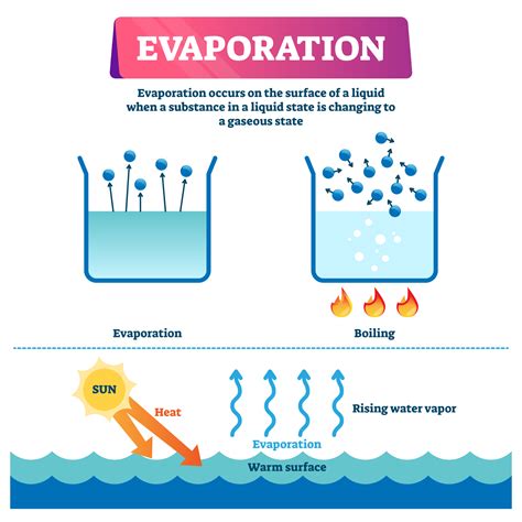 Can water evaporate without oxygen?