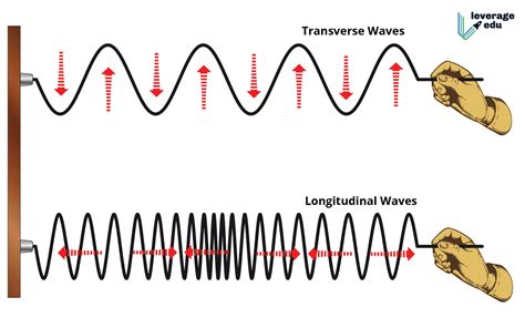 Can waves be split?