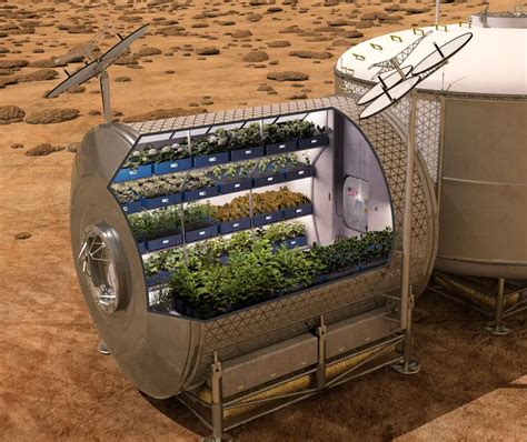 Can we grow plants on Mars?