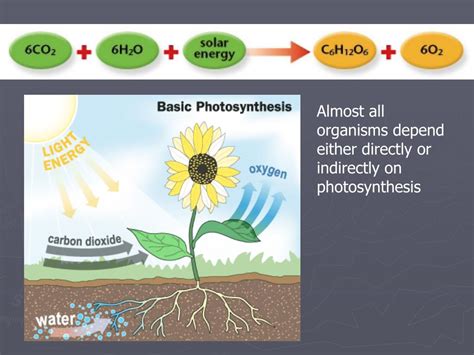 Can we imagine life without photosynthesis?