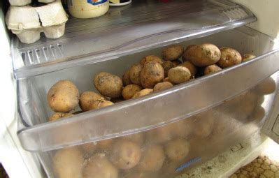 Can we keep potatoes in fridge?