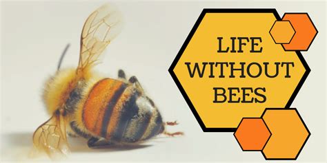 Can we live without bees?