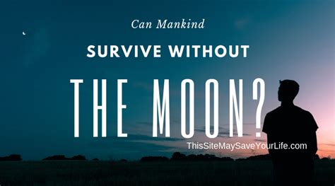 Can we survive without the moon?