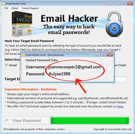 Can websites see your email and password?