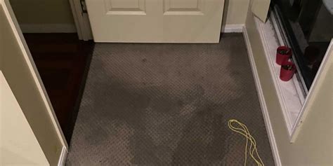 Can wet carpet be saved?