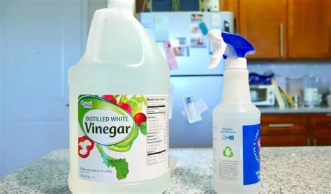 Can white vinegar damage plastic?