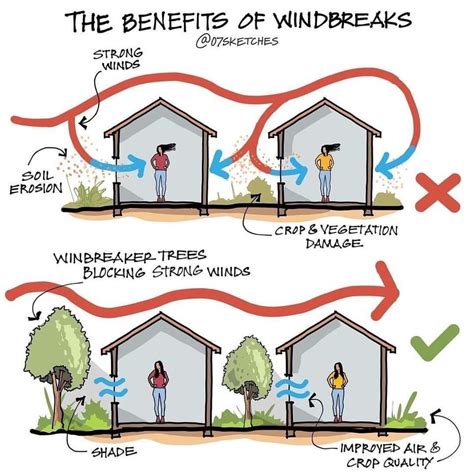 Can windows break from wind?