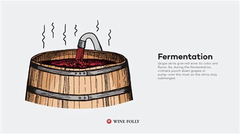 Can wine ferment in 2 days?
