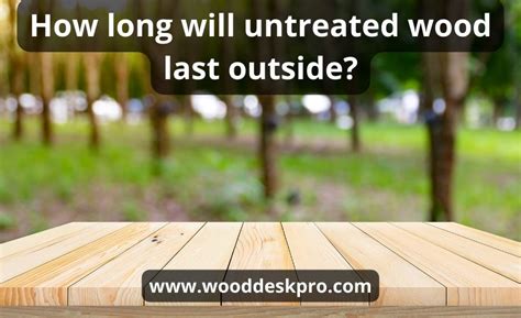 Can wood last for 2000 years?