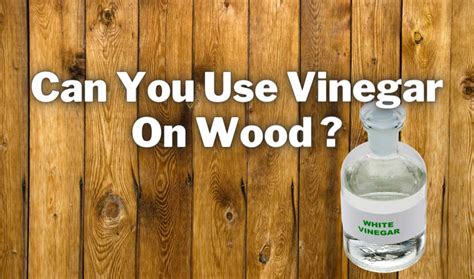 Can wood sit in vinegar?