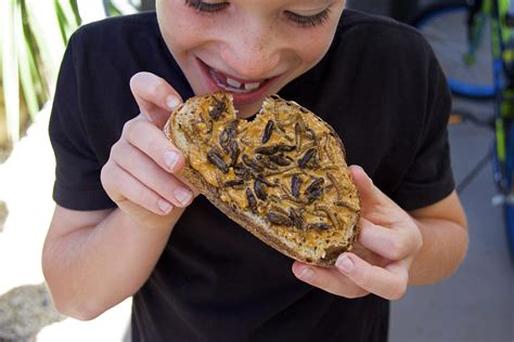 Can worms eat peanut butter?