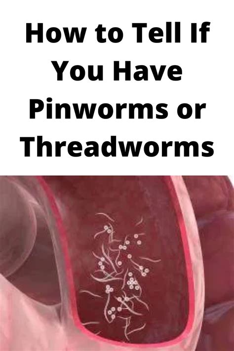 Can worms feel scared?