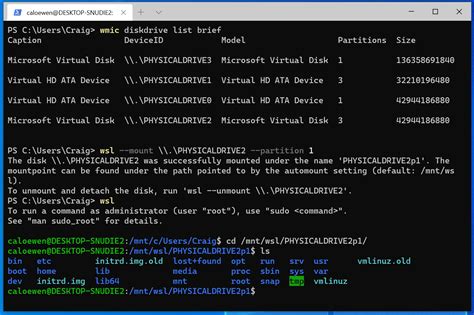 Can wsl2 read ext4?