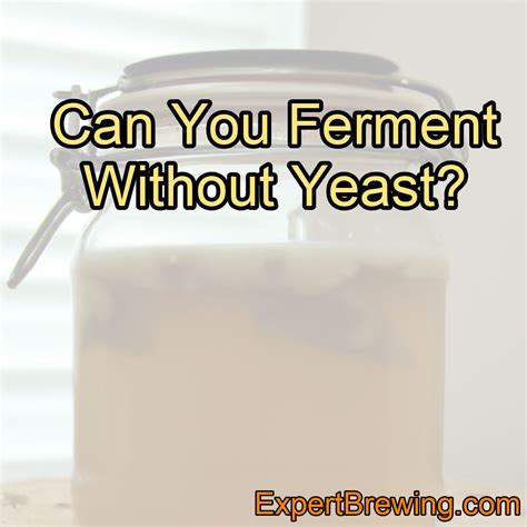 Can yeast ferment without water?