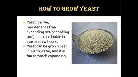 Can yeast grow in brown sugar?
