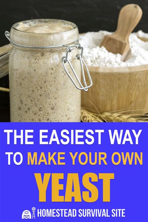 Can yeast grow without oxygen?