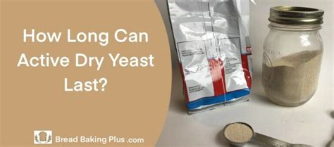 Can yeast live on fabric?