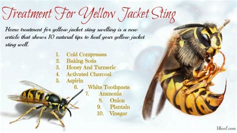 Can yellow jackets smell you?