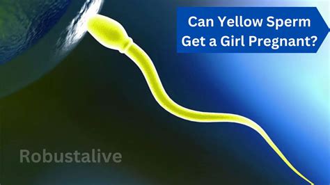 Can yellow sperm get a girl pregnant?