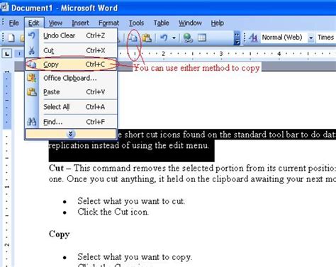 Can you Copy and insert a page in Word?