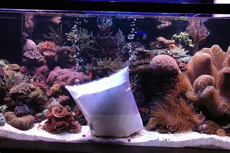 Can you add sand to an aquarium with fish in it?