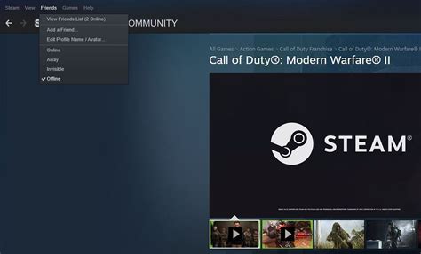 Can you appear offline on mw2 Steam?