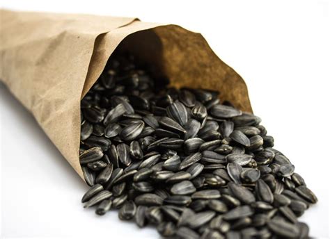 Can you be addicted to sunflower seeds?