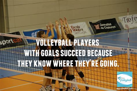 Can you be good at volleyball if you're short?