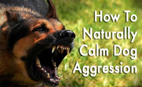 Can you be naturally aggressive?