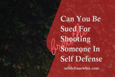 Can you be sued for self-defense in Florida?
