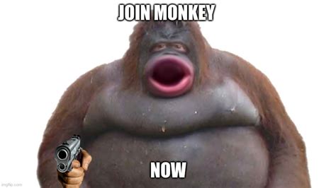Can you be under 18 on Monkey?