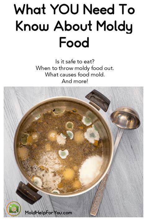 Can you boil mold out of soup?