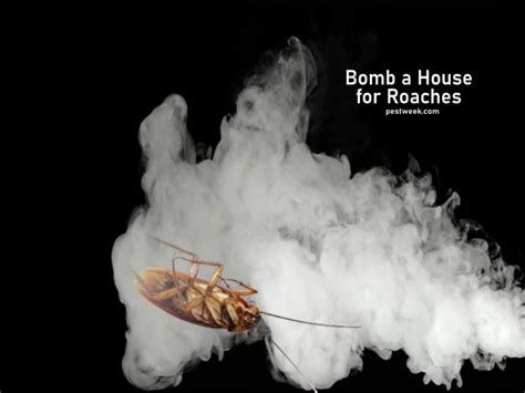 Can you bomb for cockroaches?
