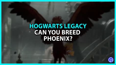 Can you breed Phoenix in Hogwarts Legacy?