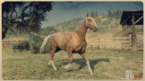 Can you breed horses in RDR2?