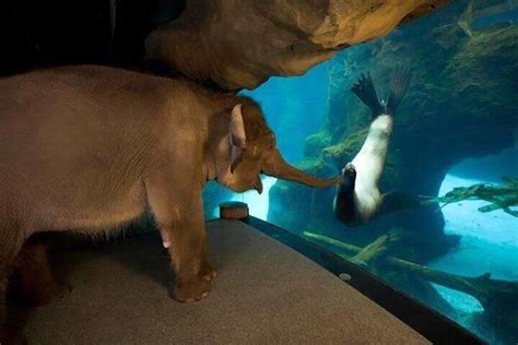 Can you bring water into the Toronto Zoo?