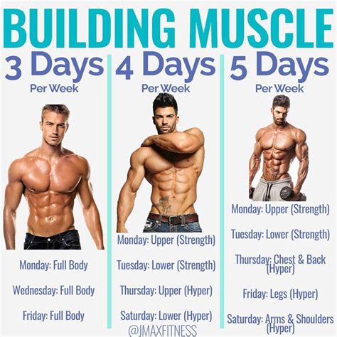 Can you build muscle in 2 days?